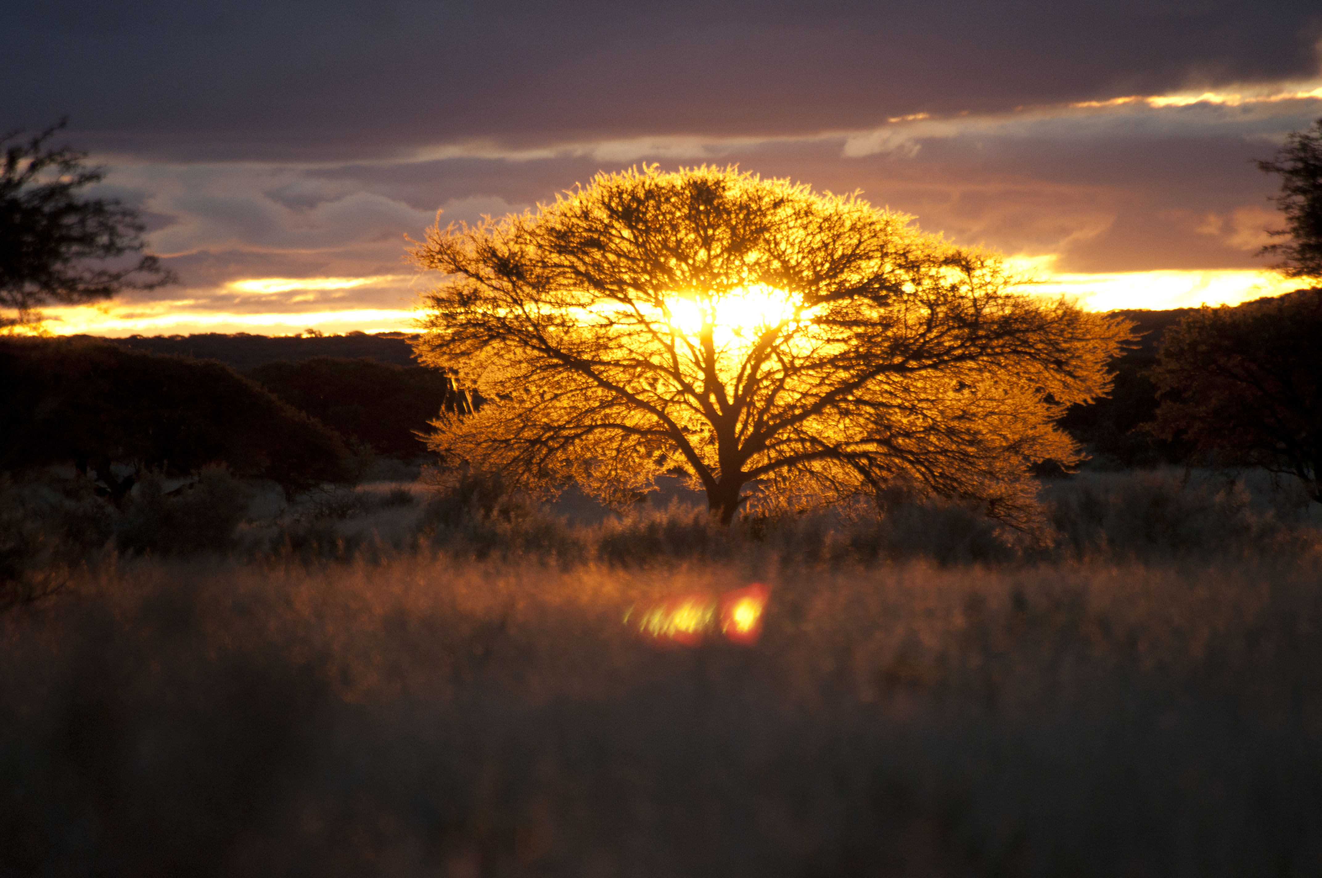 Wintershoek sun set..jpg