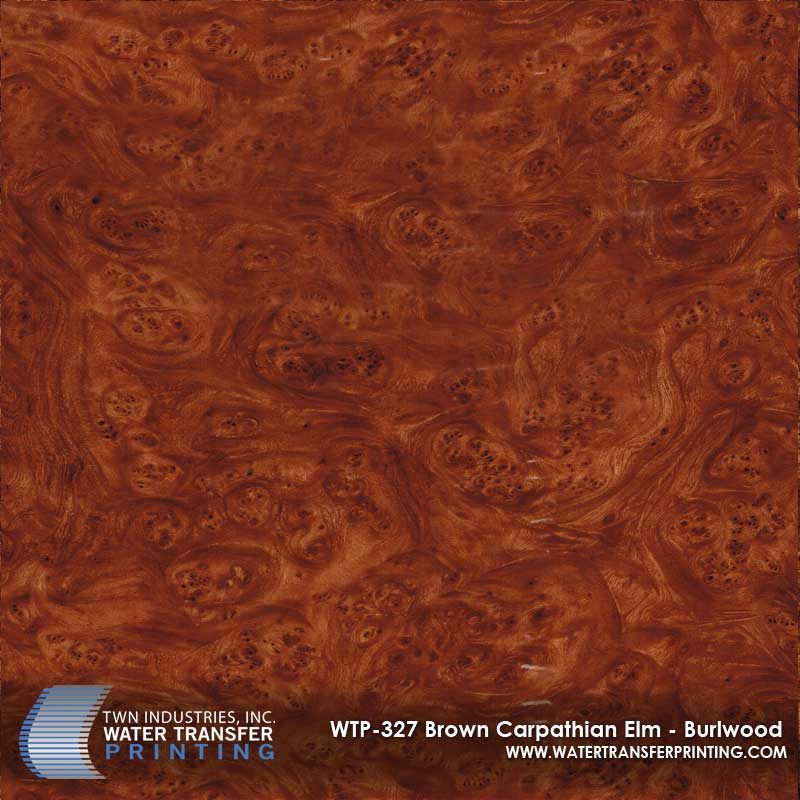 WTP-327-Brown-Carpathian-Elm-Burlwood.jpg