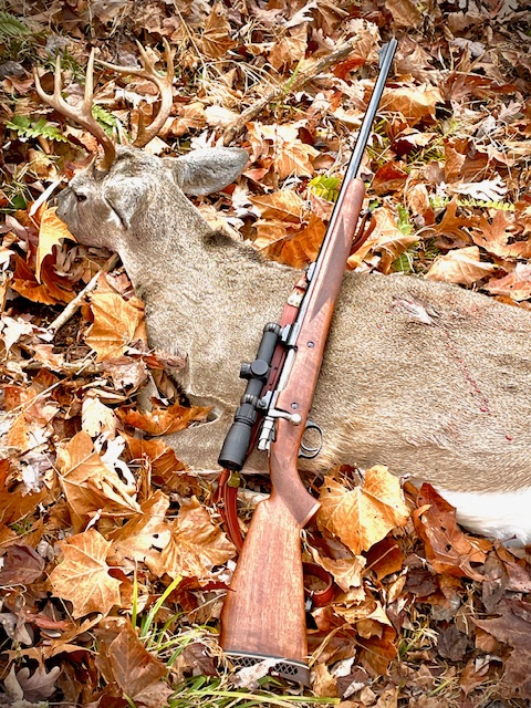 WVDeer 2023.jpg