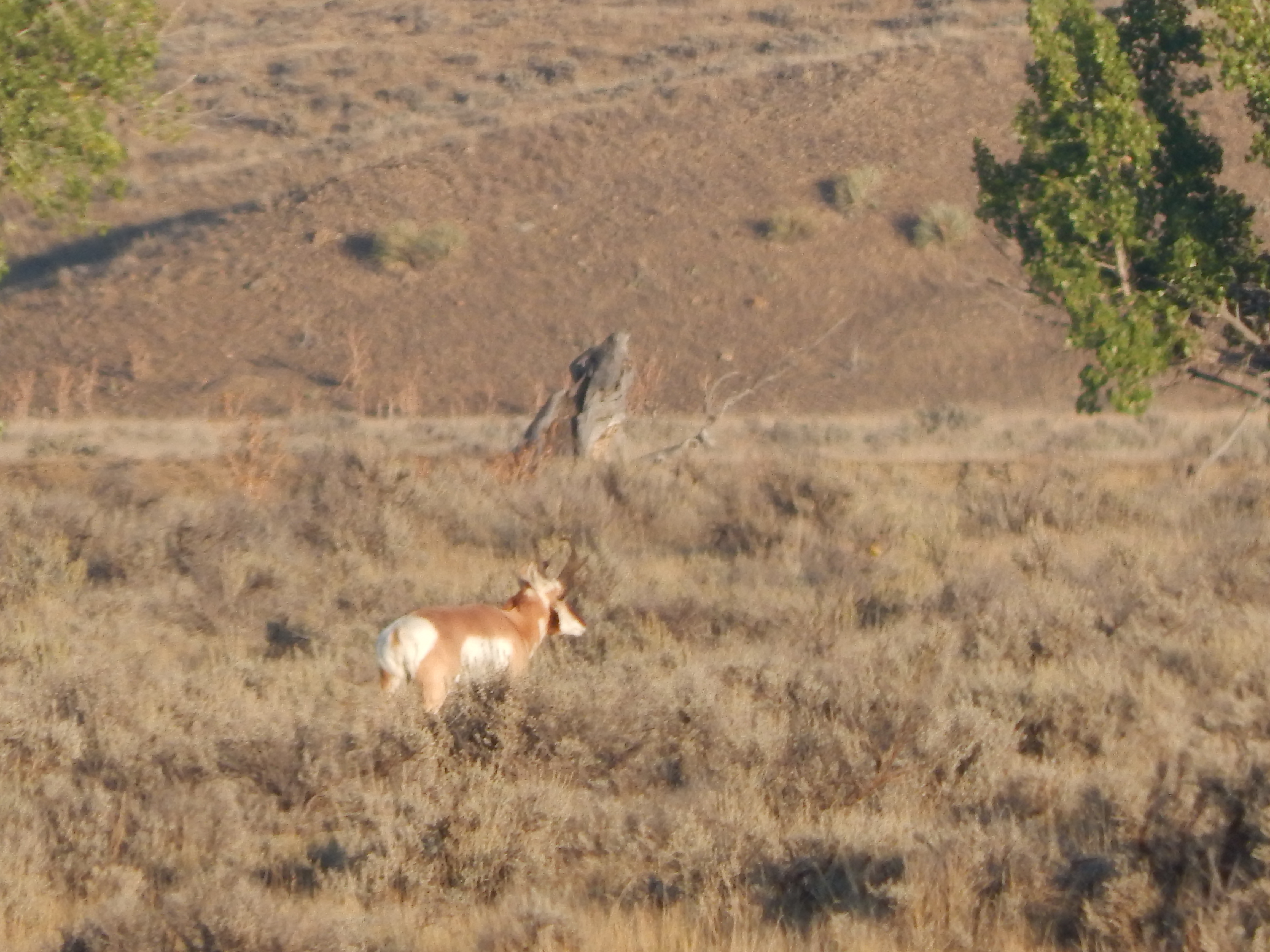 wyoming big camera 006.JPG