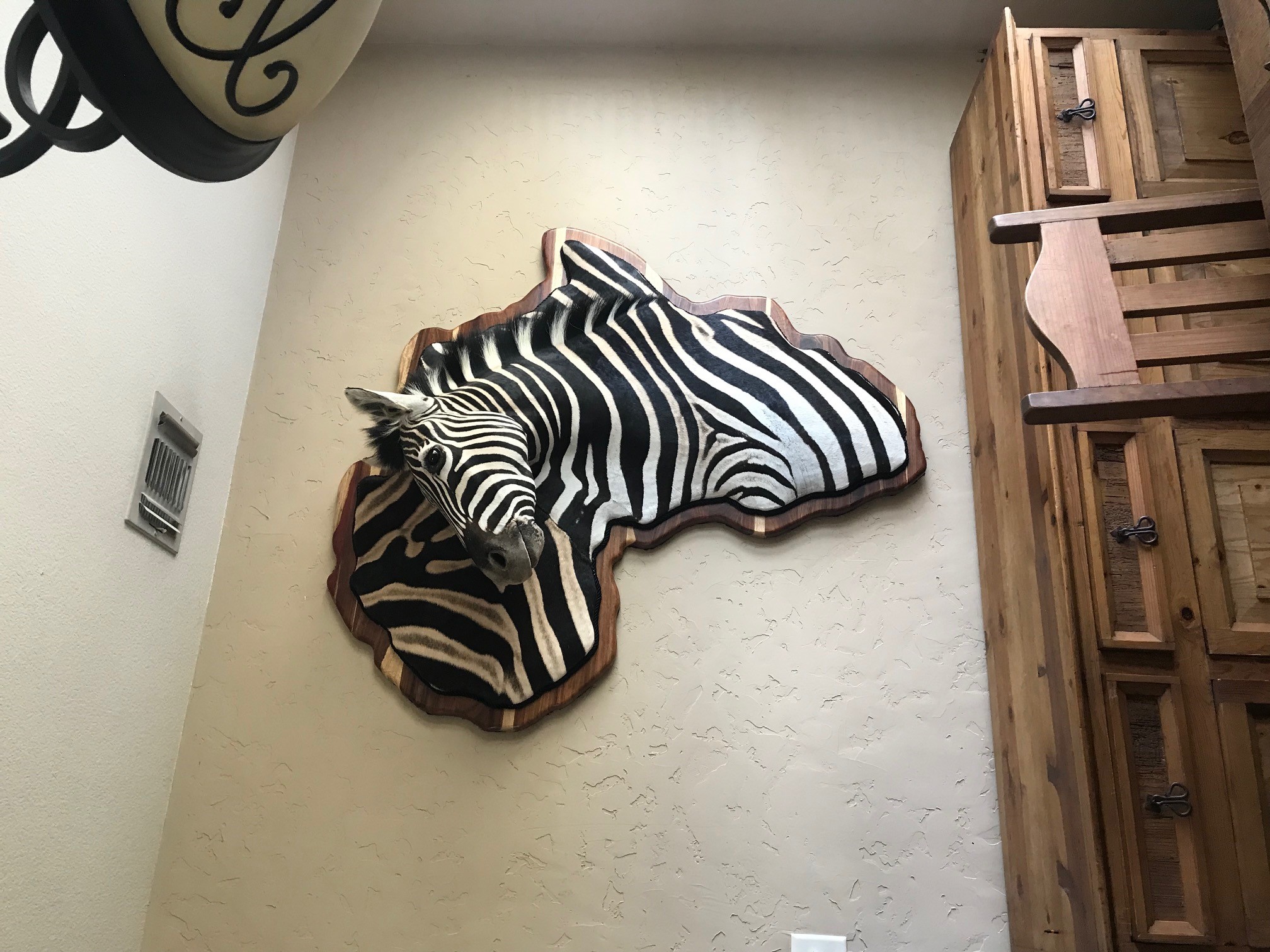 zebra2.jpg