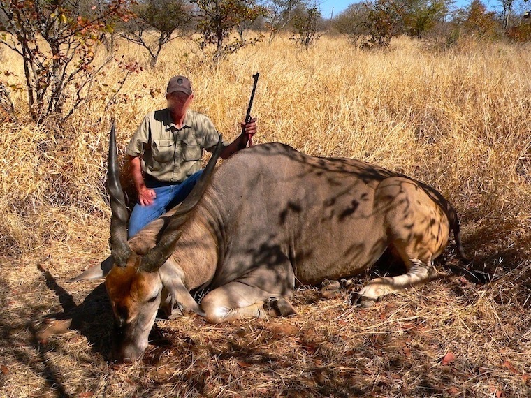 Zim Eland copy.jpg