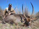 2013_NeilHorn_Waterbuck_zps17d9d291.jpg