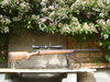 bipod and butpod_zpsi0otttev.jpg