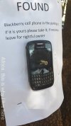 blackberry-sign.jpg