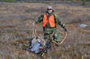 Caribou%20Hunt%202015%20059_zpsxzettxjc.jpg