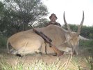 eland.jpeg