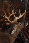 Monster Buck! 032.jpg