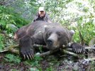 Brown Bear Hunt 2009 066.jpg