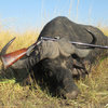 kowas-cape-buffalo-package-1.jpg