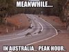 australia23.jpg