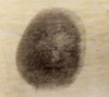 fingerprint-300x267.png