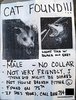 possum_poster-58b8c9673df78c353c20c146.jpg