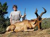 HARTEBEEST.jpg