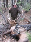 Elk 2010 007.jpg