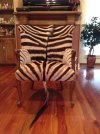 ZEBRA CHAIR-3_zpsyexfgmug.jpg