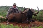 Vern black wildebeest800x532_zpsskmznlqo.jpg