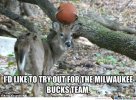 deer-joke_o_2326641.jpg