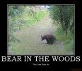 bear-in-the-woods-demotivational-poster-1224082506.jpg