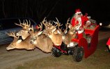 redneckchristmasparade.jpg