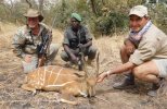 DSlaterBushbuck.jpg