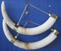 Original Elephant Tusks Capped & Chained.jpg