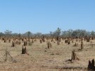 Arnhem Land 081.jpg