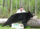 BEAR 018.jpg