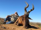 Dad's Hartebeest Bull.jpg