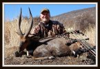 17.5  Bushbuck.jpg