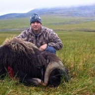 Muskox man