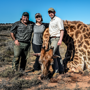 South Africa Hunting Giraffe