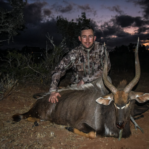 Nyala Hunting South Africa