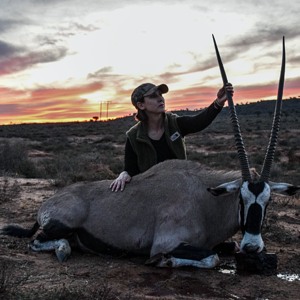 Gemsbok