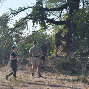 Hanging Leopard Baits Zimbabwe