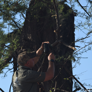 Setting Trail Camera Zimbabwe