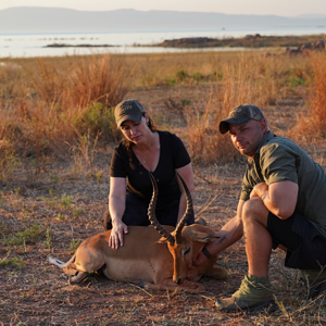 Impala Hunt Zimbabwe