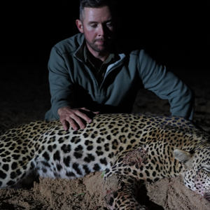 Leopard Hunt Zimbabwe