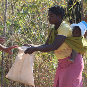 Villagers getting meat