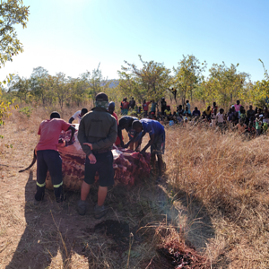 Villagers waiting for meat