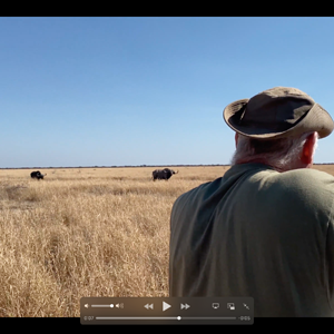 Buffalo Hunting