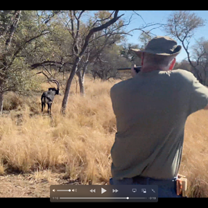 Sable Hunting