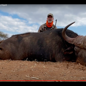 postoak Buffalo Hunt