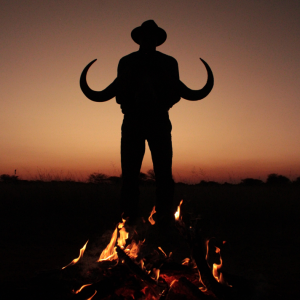 Sunset Campfire Limpopo South Africa