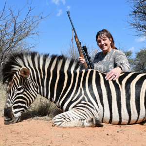 Zebra Hunting South Africa