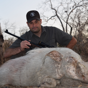 Bushpig Hunting Nissa Reserve Mozambique