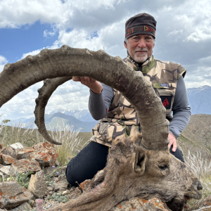 Mid-Asian Ibex - Uzbekistan