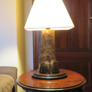 Buffalo Foot Table Lamp