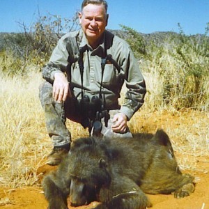 Chacma Baboon Hunted in Namibia