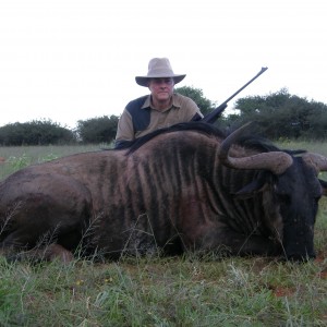 Blue Wildebeest Hunting in Namibia